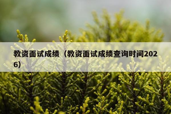 教资面试成绩（教资面试成绩查询时间2026）