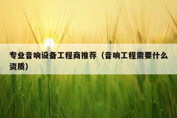 专业音响设备工程商推荐（音响工程需要什么资质）