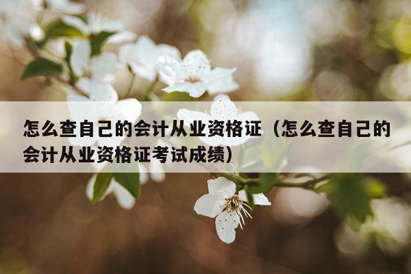 怎么查自己的会计从业资格证（怎么查自己的会计从业资格证考试成绩）