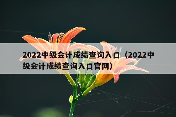 2022中级会计成绩查询入口（2022中级会计成绩查询入口官网）
