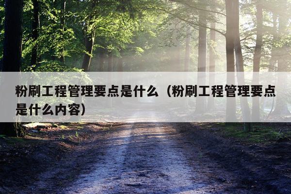 粉刷工程管理要点是什么（粉刷工程管理要点是什么内容）