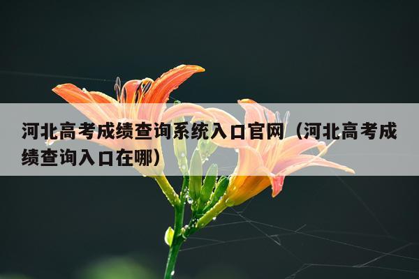 河北高考成绩查询系统入口官网（河北高考成绩查询入口在哪）