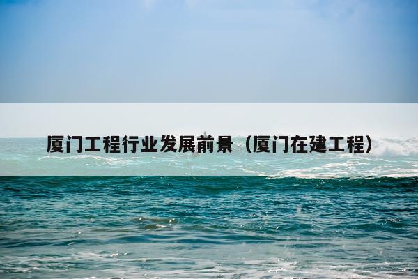 厦门工程行业发展前景（厦门在建工程）