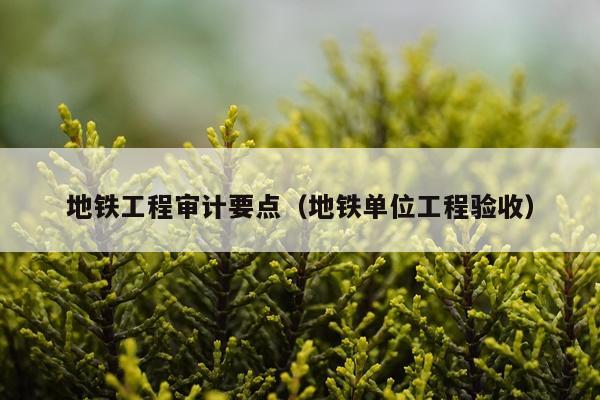 地铁工程审计要点（地铁单位工程验收）
